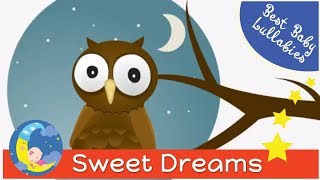 Music Lullabies Lullaby For Babies To Go To Sleep Baby Music Lullaby Songs Go To Sleep At Bedtime Music Lullabies Lullaby For Babies To Go To Sleep Baby Music Lullaby Songs Go To Sleep At Bedtime