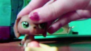 Littlest Pet Shop The Runaway Part 1