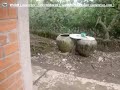Trai Ga Anh Chin Nho images Trai Ga Anh Chin Nho