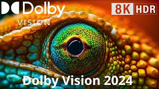 Experience The Powerof Dolby Vision Screen: 8K Ultra Hd (120Fps) Hdr!
