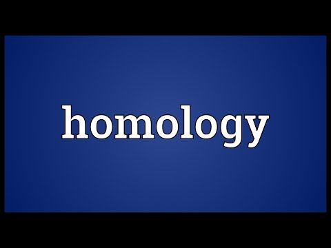 Header of homology
