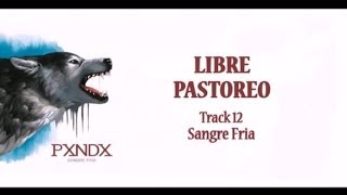 Watch Panda Libre Pastoreo video