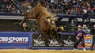 Every Ride From Bushwackers Legendary Streak And J.b. Mauneys Ride That Ended It