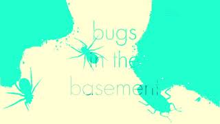 Bugs In The Basement - Gelastocoris Oculatus aka The Toad Bug
