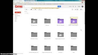 Getting Great With Google - Organization