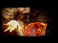Killswitch Engage "Disarm The Descent" 4-2-13