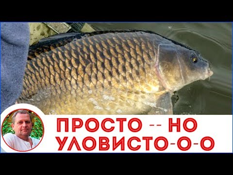 Уловистые снасти на карпа Уловистые снасти на карпа