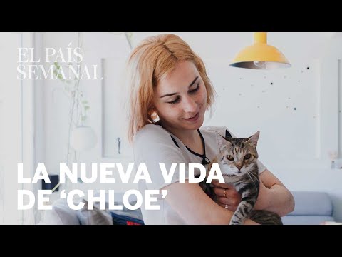 Nadia de Santiago | Amos y mascotas | El PaĂs Semanal