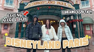 Main Ke Disneyland Paris 1 Orang 6 Juta Worth It Gak Ya??