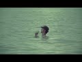 Đen - hai triệu năm ft Biên mv