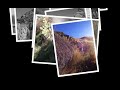 fumarole