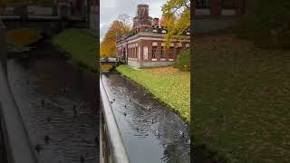 Рекомендация Для Мужчин Это Сэкономит Время Силу Энергию Возможно И Жизнь