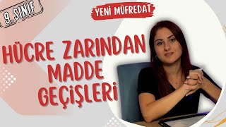 23 Hücre Zarından Madde Geçişleri 9. Sınıf Biyoloji Maarif Modeli - Yeni Müfredat Tyt