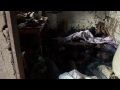 war crimes