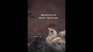 Konji Konji Pesi Varum Ll Vedham Ll Tamil Whatsapp Status Video