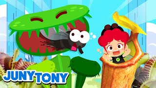 Insect-Eating Plants | Some Plants Eat Bugs! | The Monster Plants | Kids Songs &