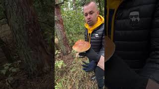 Кольорове Яйце Від Виробника Консультації По Птахівництву0931311113