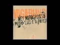 Ney Matogrosso e Pedro Luiz e a Parede - Vagabundo 2004 [CD Completo] Full Album
