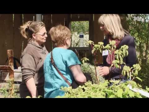 L'entreprise adaptée départementale (EAD) fête le printemps
