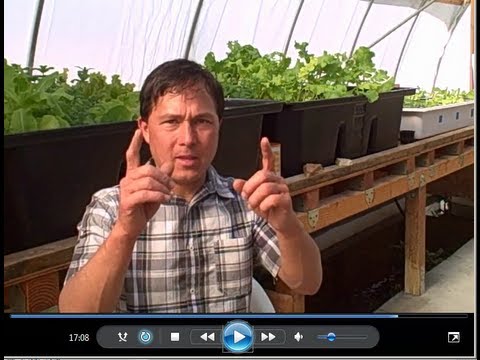 Aquaponics. Fruits and Vegetables Gardening in the Las Vegas Food ...