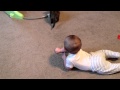Kitty meets baby