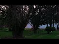 Hunting with Dereelight Night Master Flashlight w/ red LED