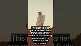 Dyk Astronaut Sneeze Guard?