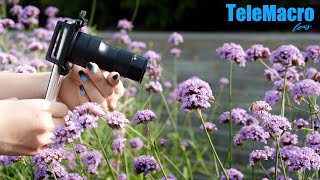 Introducing The Apexel Telemacro The Ultimate Telephoto & Macro Lens In One