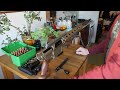 .338 lapua rifles