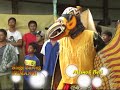 image Kendal Kemangi Singobarong Part4