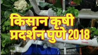 Hydroponic system for vegetable @Kisan Krushi pradarshan Pune 2018