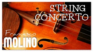 Francesco Molino Violin Concerto - Instrumental Classical Music
