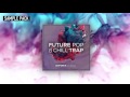 Future Pop & Chill Trap (Sample Pack) by Skifonix Sounds