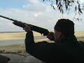 www.arsvenandivideo.com Sud Africa anatre colombi francolini