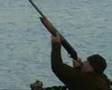 www.arsvenandivideo.com Sud Africa anatre colombi francolini