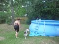 Dog climbs ladder into pool