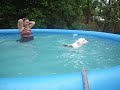 Dog climbs ladder into pool