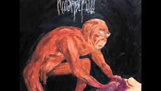 Watch Neoandertals Child video