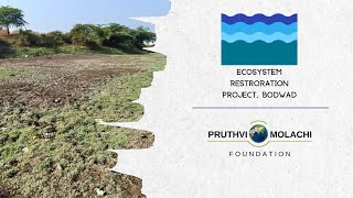 Ecosystem Restoration Project Bodwad (English) | Pruthvi Molachi Foundation | Suba Foundation