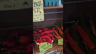 Farmstand Pepper Tour