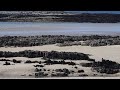 Crayfish Creek Tasmania Australia Crayfish Creek Tasmania Australia