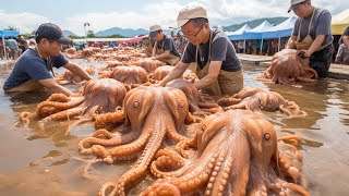 Why No One Can Grow Ingenious Octopuses for Meat