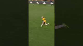 LVFWalCAFug Video Image