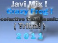 Crazy Frog -- Dj Javi Mix -- Colectivo Tribal Music !