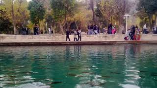 Seyfettin Sucu Derdi Bilen Tabip Yok Mu