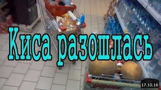 Просрочка в пятерочке что делать 2018 Просрочка в пятерочке что делать 2018