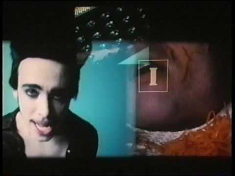 Ginger Video