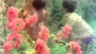 Azhagiya Kanne from Uthiri Pookal Azhagiya Kanne from Uthiri Pookal