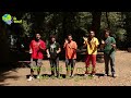 scouts