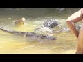 Jack The Movie 1 10 Alligator Tightrope 2002 Hd